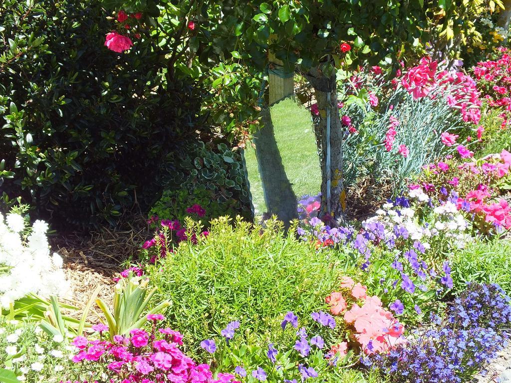 Austin Heights - Kaikoura B&B 외부 사진